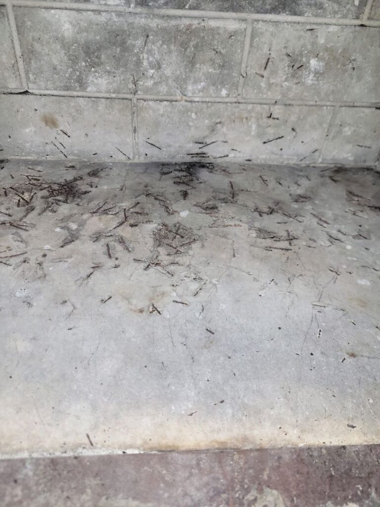 Dirty surface with scattered pine needles and debris against a gray tiled wall.